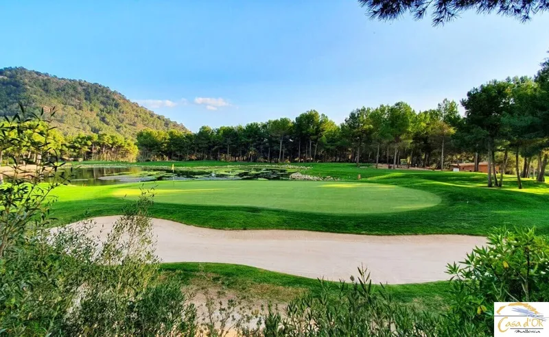 Exclusive Building Plot with Mediterranean Serenity near Sant Llorenç des Cardassar — photo 8