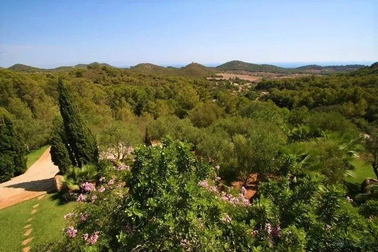Historical home reformed with love, care and luxury elements, located close to Cala Dor and Santany — photo 12