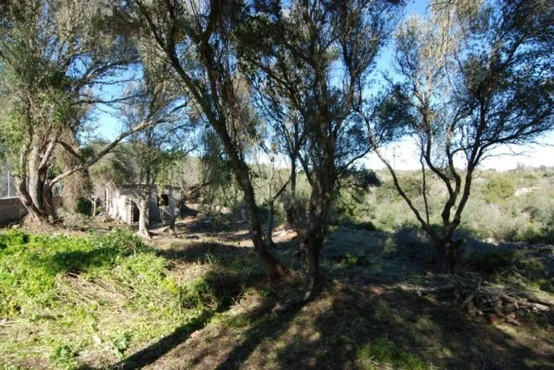 Urban plot with open views in Cala Santanyi — photo 3