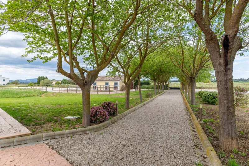 Luxury Country Estate with Equestrian Facilities — photo 2