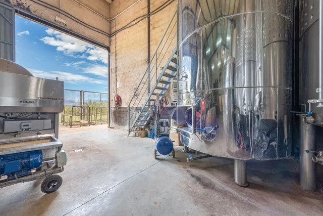 Iconic winery for sale in Santa Eugènia, Central Mallorca — photo 4