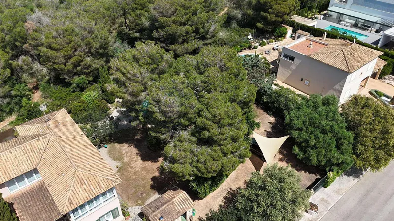 Buildable plot in Maioris — photo 8