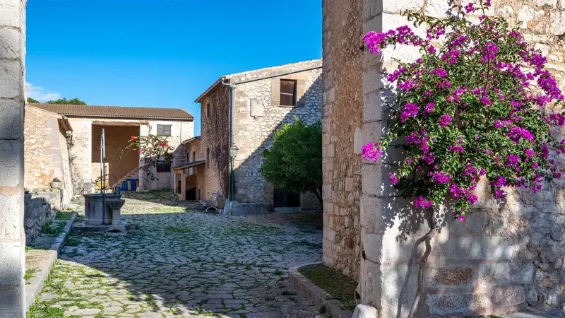 Charming finca. This picturesque rustic finca is situated on a plot of more than 420,000 m2 near Binissalem in Mallorca, at the foot of the S — photo 6