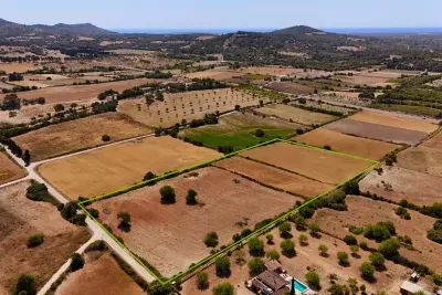 Buildable land 16,000 sqm in Sant Llorenç des Cardassar — photo 1