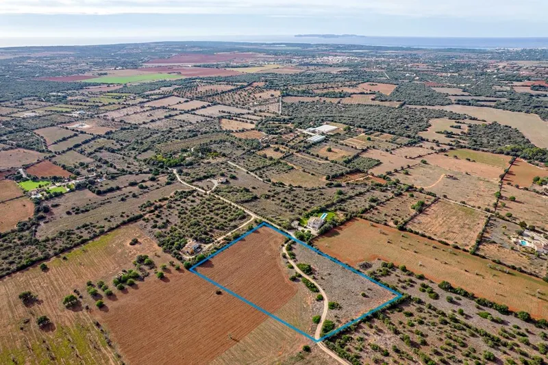 Plot in Ses Salines: The Perfect Place to Create Your Home in Mallorca — photo 2