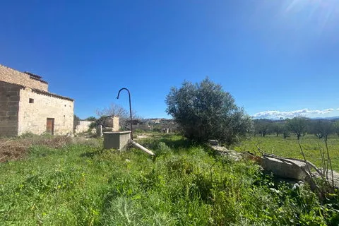 Cortijo in Campanet, Mallorca — photo 6