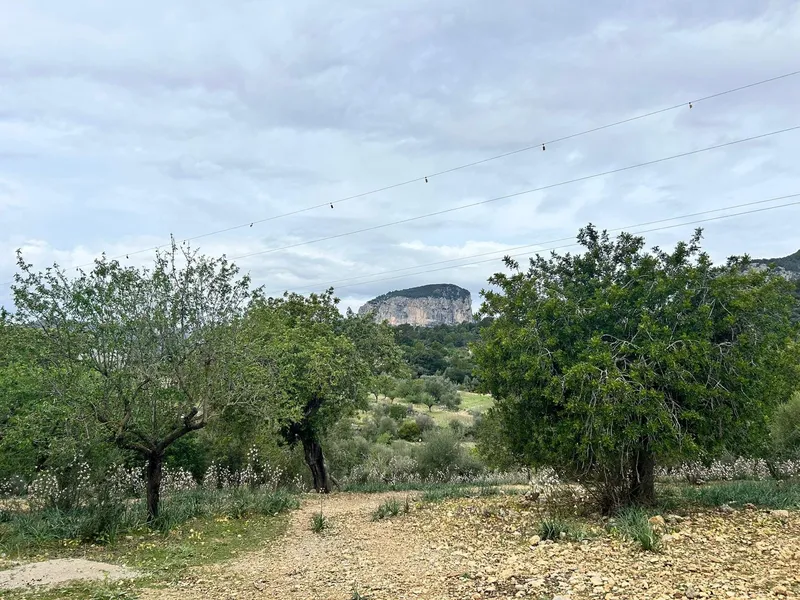 Plot for sale in Alaró — photo 1
