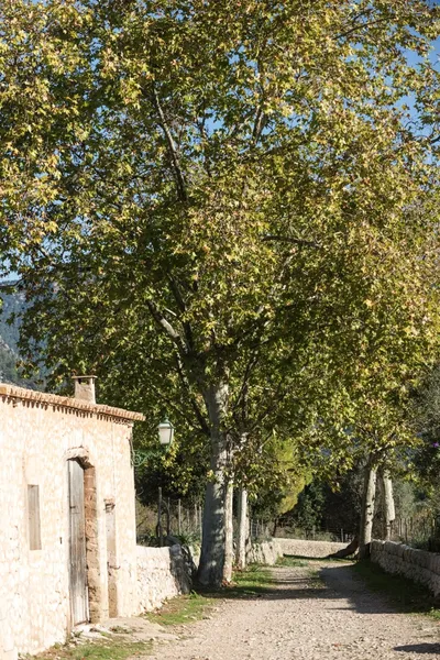 Mansion in Bunyola: Historical country manor from 1602 including vast estate — photo 4