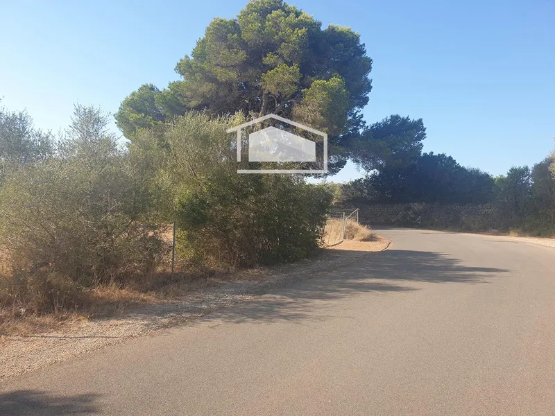 Rustic finca of 19,200 m² in Ses Salines, permit for 400 m² dwelling and pool — photo 6