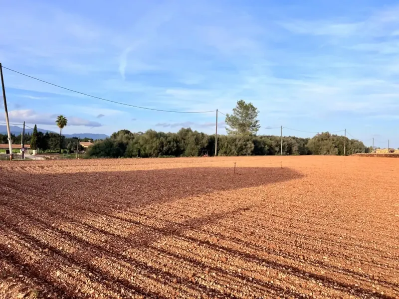 Rustic estate for sale, between Llubí and Muro, about 39,000 m2 of land, with several constructions, a large safareig, an agricultural warehouse and — photo 10