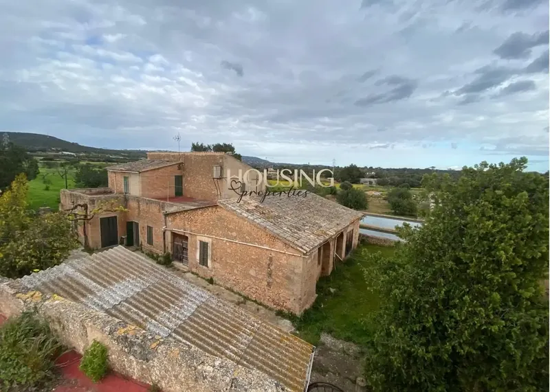 Large rustic estate in the Sa Casa Blanca area. — photo 5