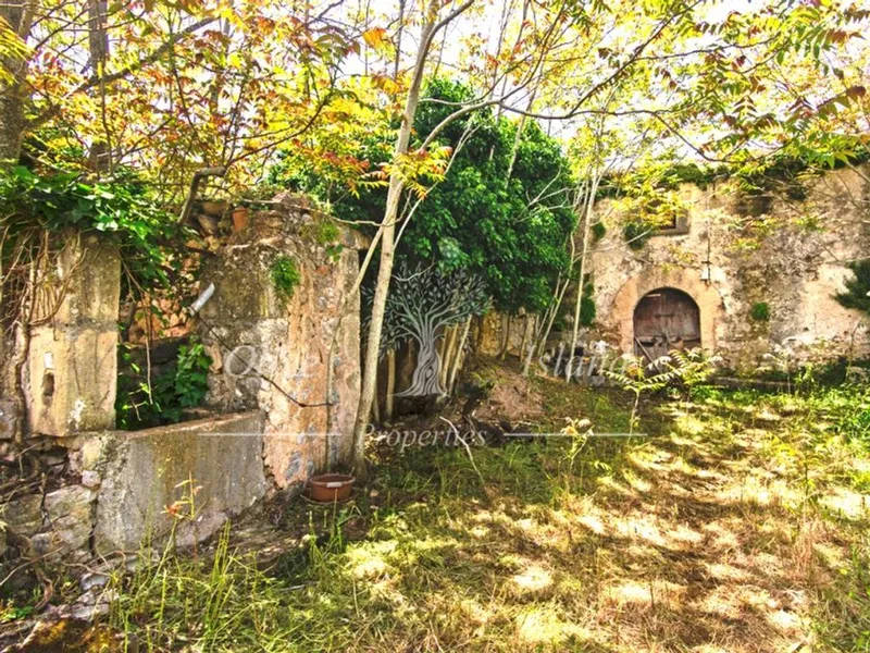 Mansion in Binissalem, Province of Balearic Islands — photo 3