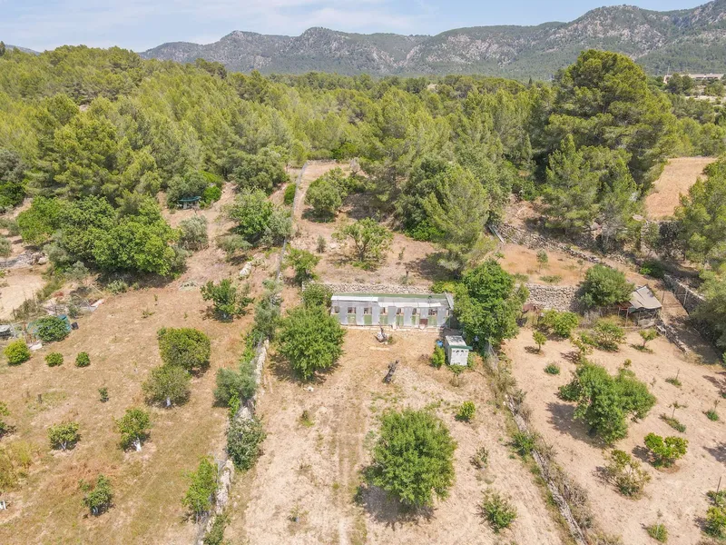 Quiet agricultural property in Calvià - 3,500 m² of nature, privacy and rural charm — photo 3