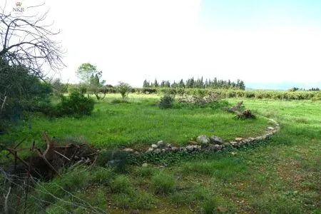 Rustic property - Llubí (Llubi), Built Surface 208m², Plot Surface 7500m², Distance to the sea 15 km — photo 2