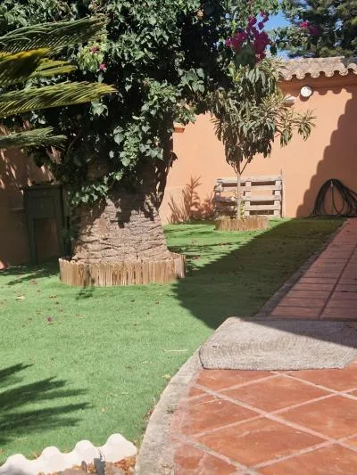 Single family house - El Puerto de Santa Maria (El Juncal - Vallealto) — photo 10