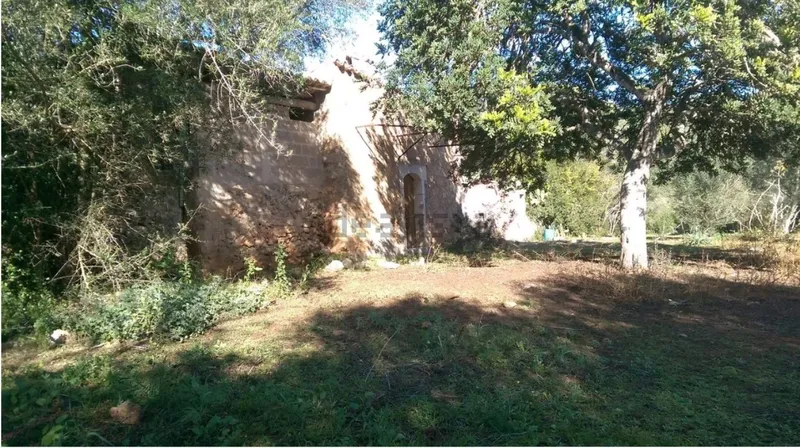 Rustic estate with tool shed — photo 4