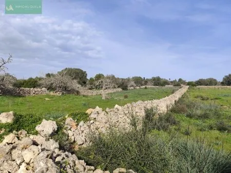 Rustic property - Santa Margalida, Built Surface 50m², Plot Surface 15767m², 1 Room, 1 Bathrooms — photo 6