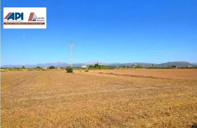 Set of two plots totaling 15,324 m² with possibility of building a house in Muro. Located approximately 5 km from the beach — photo 1