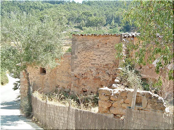 Ref. 970P – Andratx – Finca to renovate — photo 12
