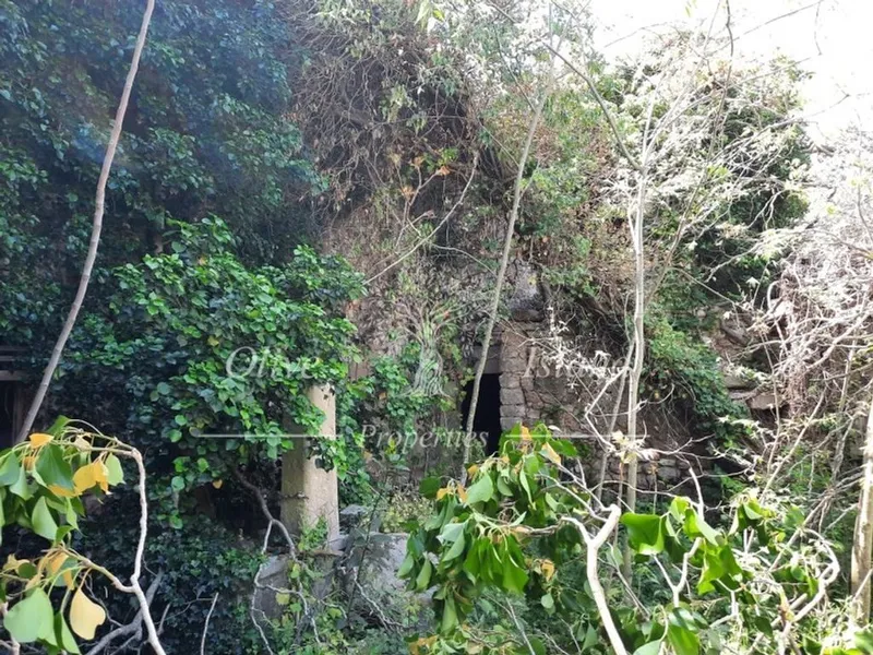 Mansion in Binissalem, Province of Balearic Islands — photo 9