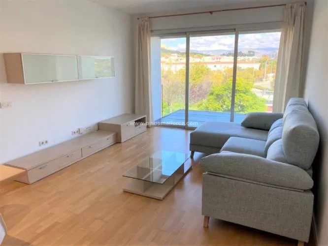 Apartment in Palma de Mallorca, Son Puig area — photo 9