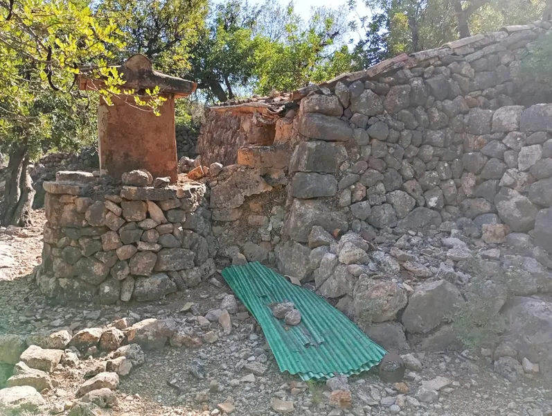 Sunny olive grove in Fornalutx — photo 11