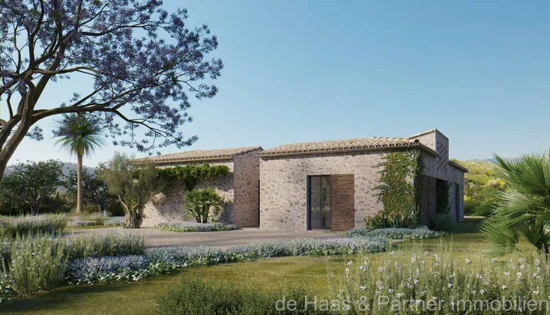 15,100m² finca with 5 bedrooms, 2 bathrooms and pool for sale — photo 4