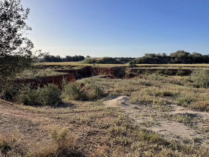 Plot Between Campos and Sa Rapita — photo 11