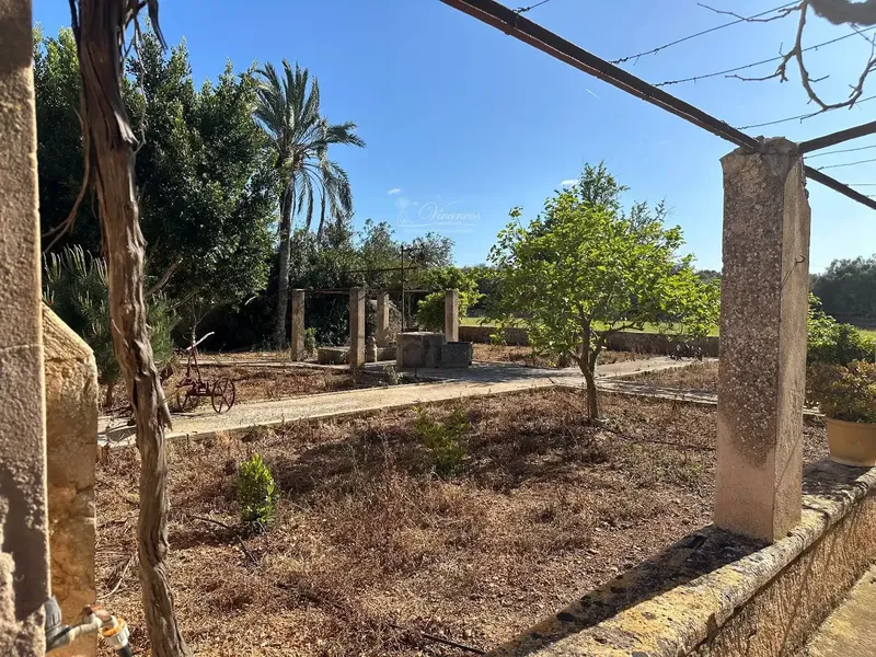 Impressive 18th Century Estate in Algaida — photo 11