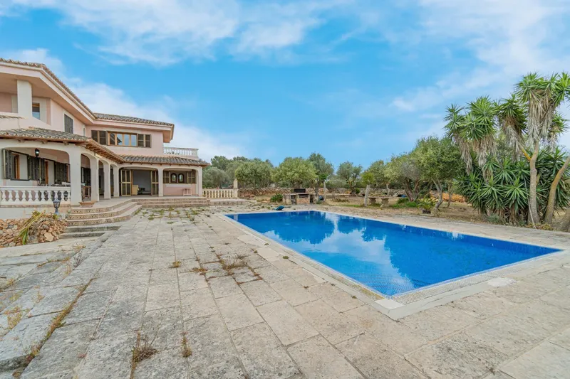 Farm with swimming pool — photo 3