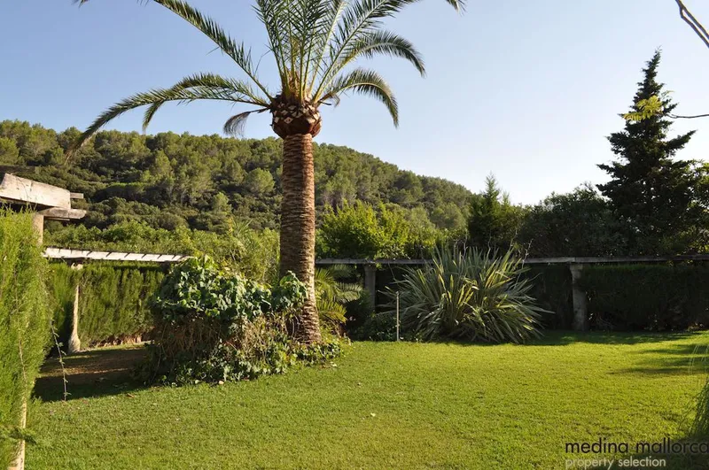 Finca in the Campanet Valley — photo 3