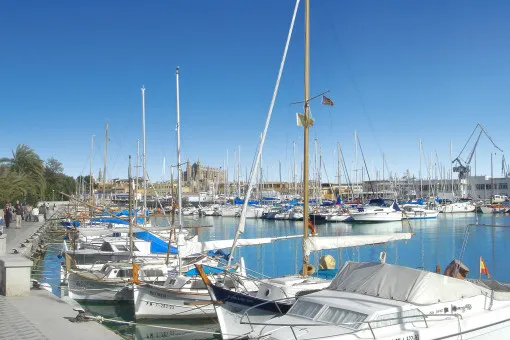 Palma City, Last Available Terrace Apartment – Stylish Living in Palma with a Spacious Terrace on the Same Level — photo 2