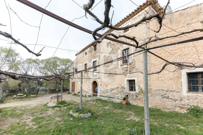 Villa in Esporles, Province of Balearic Islands — photo 3