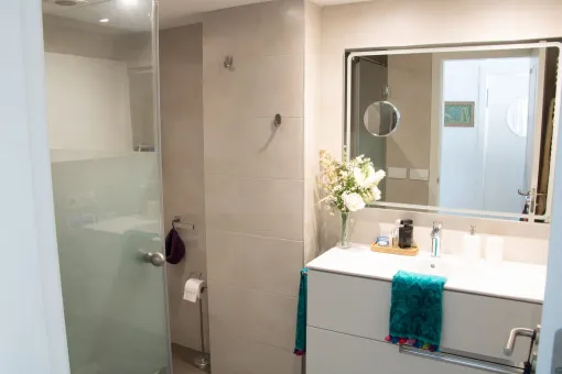 Son Armadams, exclusively renovated apartment on the Paseo Marítimo with terrace and beautiful harbour view — photo 10