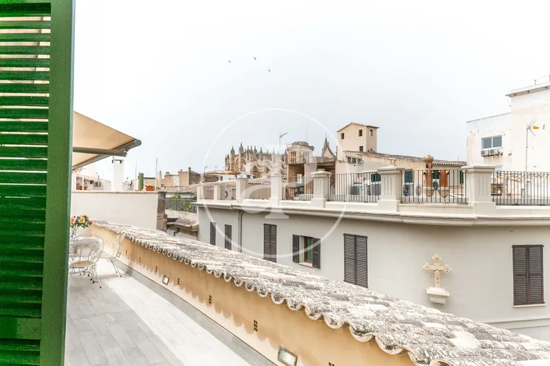 Penthouse for Temporary Rental in Sa Calatrava — photo 12