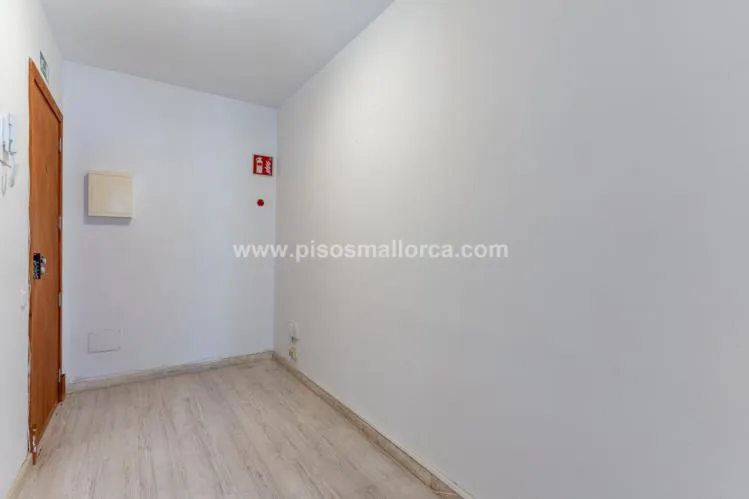Apartment in Palma de Mallorca, Foners Area — photo 10