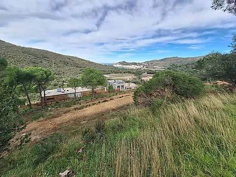 Land for sale in La Selva de Mar — photo 5