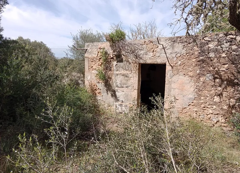 Large Rustic Land near Campos, Mallorca — photo 1