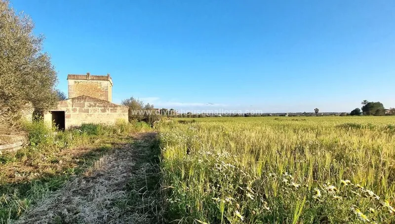 Finca to renovate in quiet area between Santanyí and Campos — photo 11