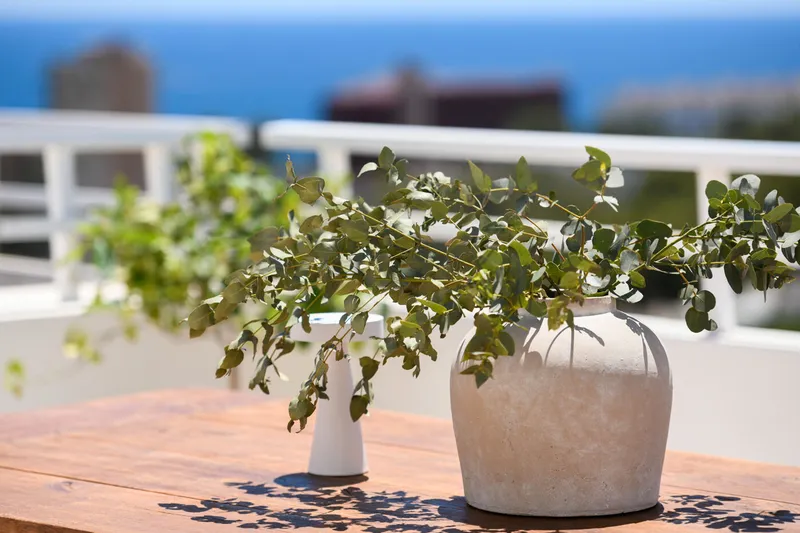 Exclusive triplex apartment with sea views in Cas Català, Mallorca — photo 5
