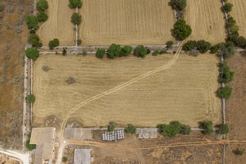 Top quality plot for sale in Santanyi with private pool and sea views — photo 6