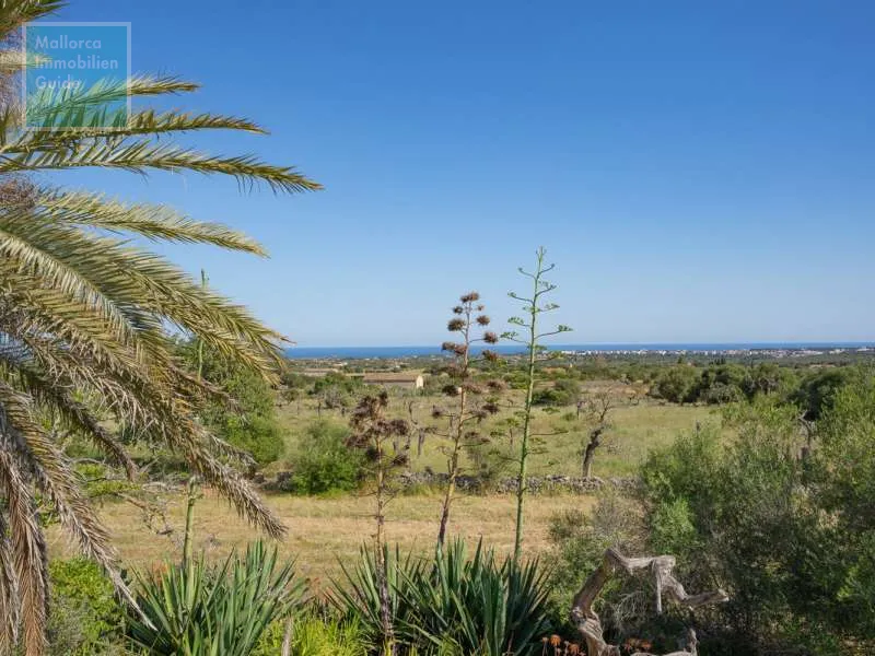 Son Carrió Finca with distant sea views and a small casita — photo 4