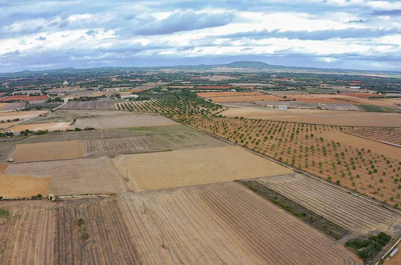 Plot with project in Son Valls — photo 6