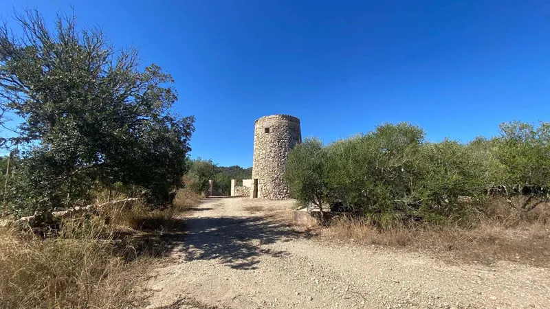 Beautiful building plot near Manacor — photo 10
