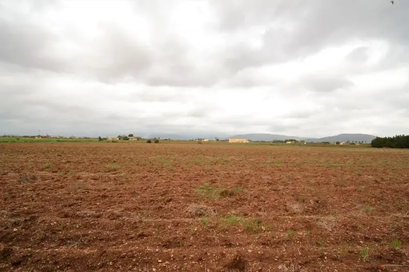 Plot of 15300 square meters with tool shed to be renovated — photo 10