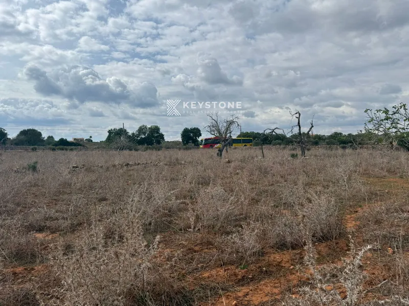 Plot — photo 4