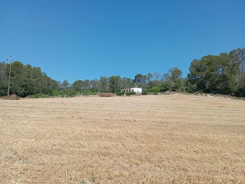 Rural or Farmhouse in Lloret de Vistalegre, Province of Balearic Islands — photo 4