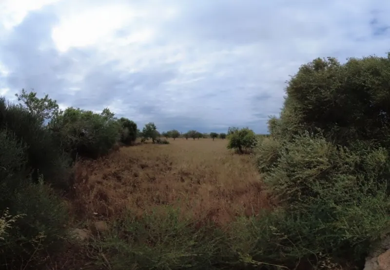 Plot between Santanyi and Cas Concos located 1km from Santanyi — photo 2