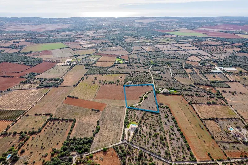 Plot in Ses Salines: The Perfect Place to Create Your Home in Mallorca — photo 5