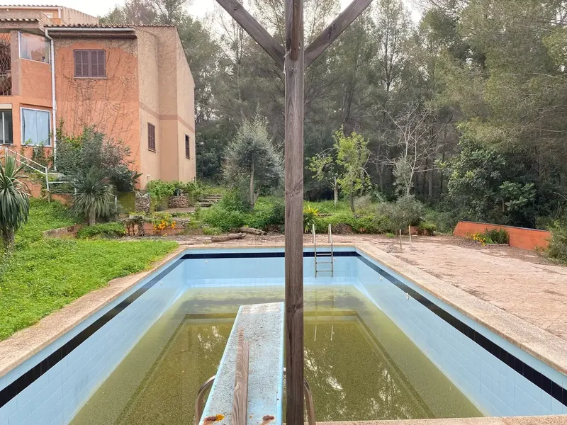 Investment Opportunity — photo 6